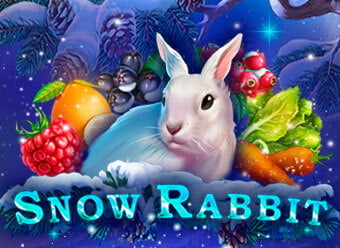 Слот Snow Rabbit — выигрыш 8 120 ₴ в Dragon Gold казино